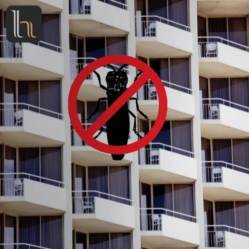 Wood Borer Control 1 BHK 